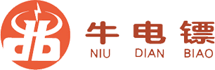 普金